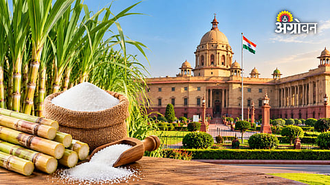 Minimum support price for sugar India