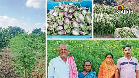 Datta Methe vegetable farming success story
