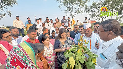 Farmers Support