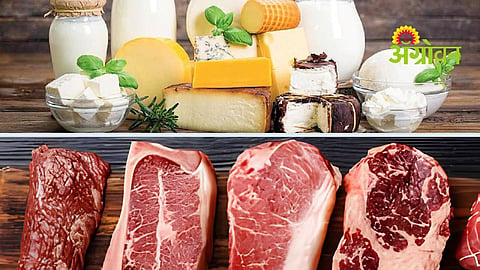 Meat quality and safety standards