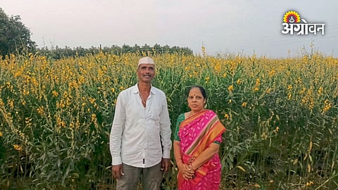 Maharashtra farmer experiments with jute farming