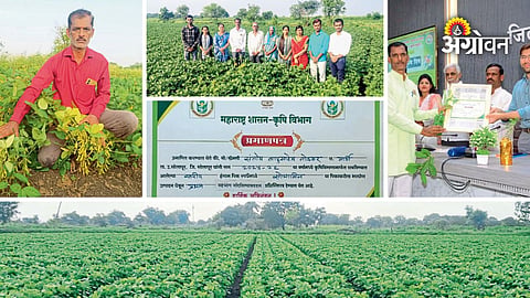 Soybean farming using BBF technology