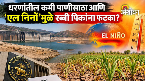 RBI warning on El Nino and Rabi crop production