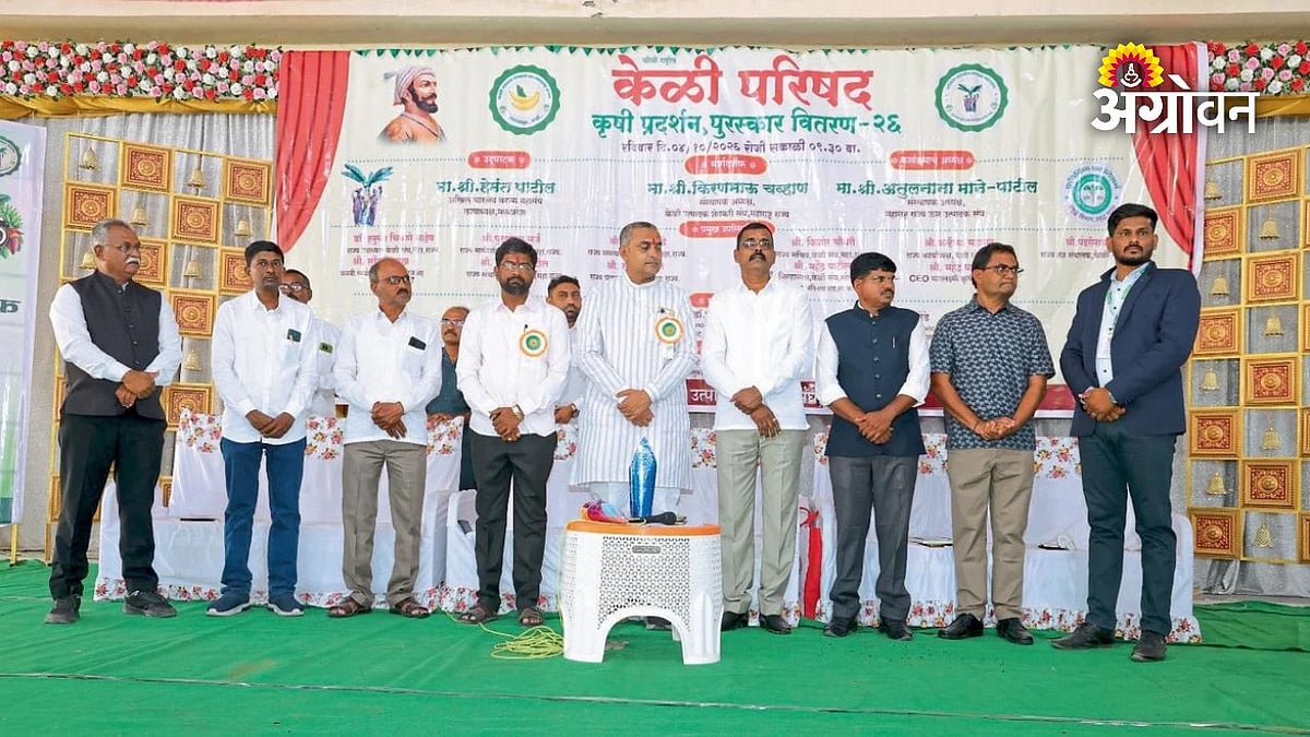 केळीला ३०.६० रुपये हमीभावाची मागणी