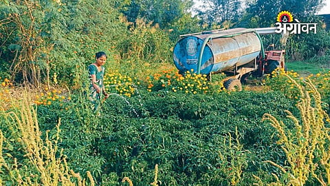 Maharashtra farmers facing water scarcity for crops