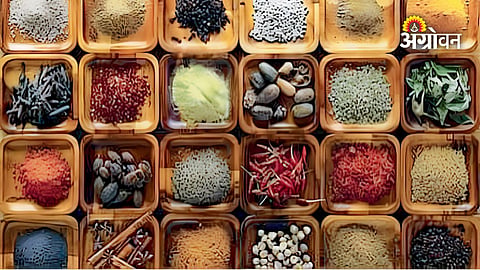 US traders demand duty waiver on Indian spices