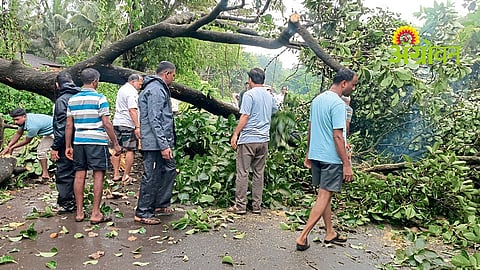 Sindhudurg Rain Update