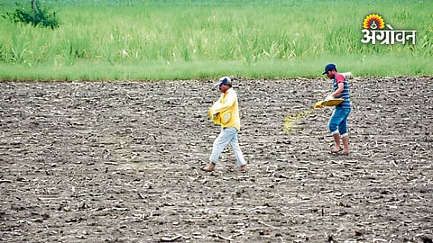 Rural employment and farmer income in India