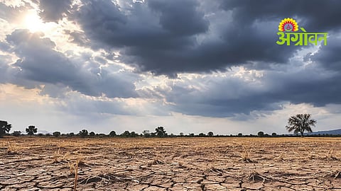 Crop Damage Survey