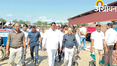 Pimpalgaon APMC
