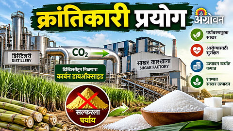 Natural sugar factory carbon dioxide experiment