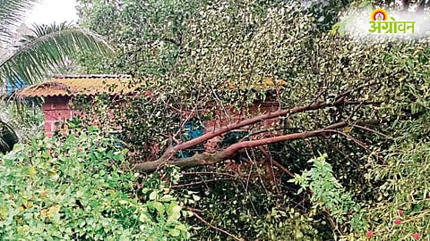 Sindhudurg Storm Damage