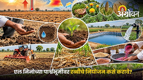 Rabi Crops Under El Niño Conditions