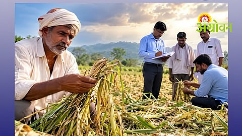 Crop Loss Assessment