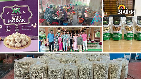 Sindhudurg Food Processing Business