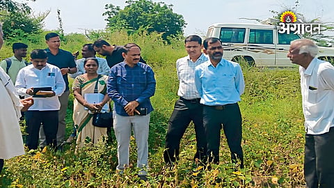 Crop Loss Assessment