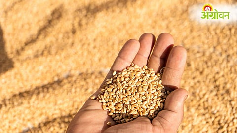 Maharashtra Drought