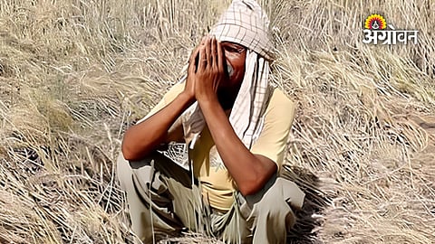 Farmers demand ₹50,000 per hectare crop loss compensation