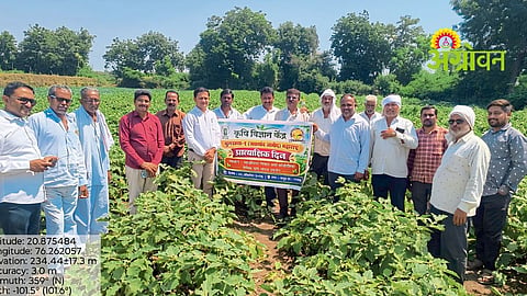 Vegetable Farming