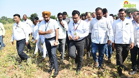 Maharashtra Drought