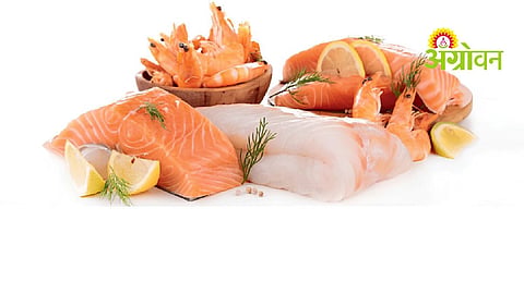 Fish Farming: