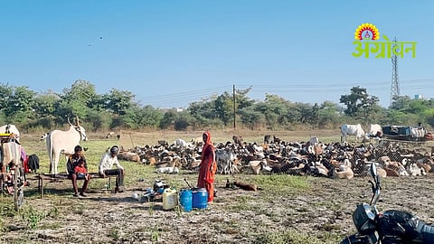 Environmental Refugees