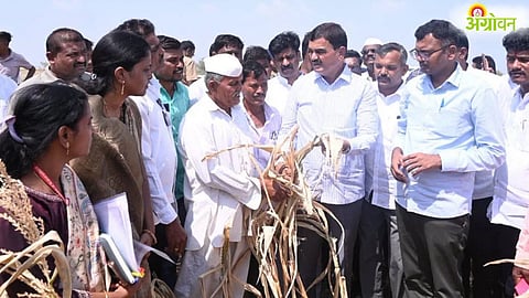 Maharashtra Drought Relief