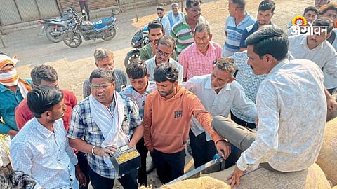 Phoolsawangi soybean price reaches 6,710 per quintal