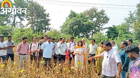 Crop Cutting Experiment