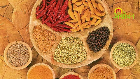 Indian Products Demand