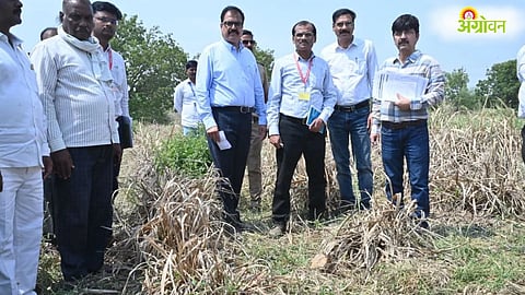 Maharashtra Drought