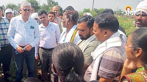 Farmer widow appeals for support after crop failure