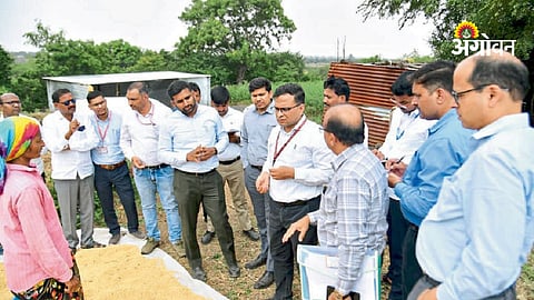 Maharashtra farmers struggle with crop losses and water scarcity