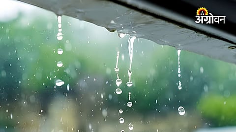 Weather changes in Konkan and Western Maharashtra
