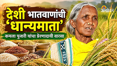 Padma Shri Kamala Pujari seed conservation work