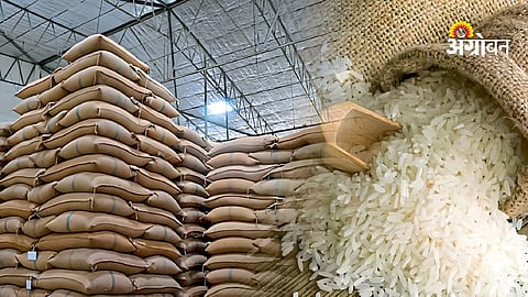 Global rice trade and Indian rice exports