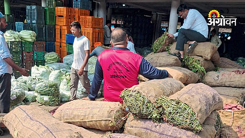Sweet potato demand during Navratri 2026