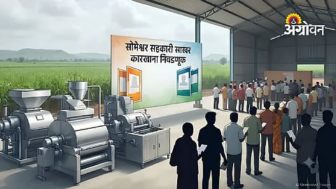 Someshwar sugar mill election result announcement