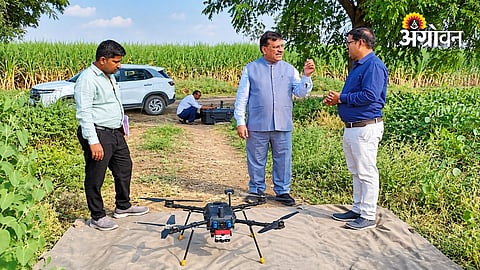 Microclimate-based agricultural advisory services