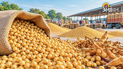 Soybean market price trends in India