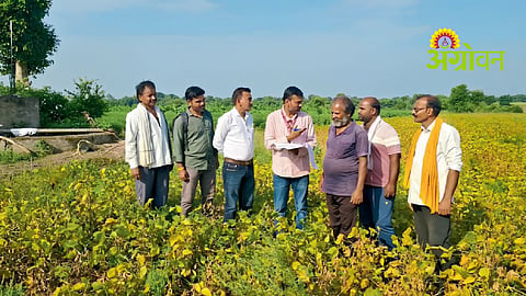 Drought Assessment