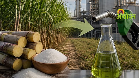 Sugar MSP Policy