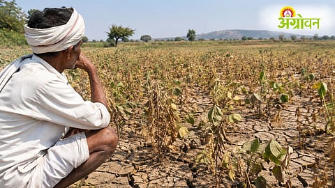 Farm Loan Waiver Third List