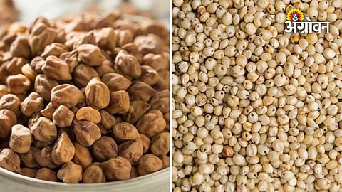 Government subsidy scheme for chana and jowar seeds