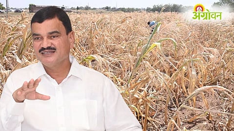 Drought Panchnama