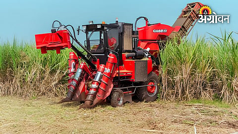 Role of harvesters in Maharashtra sugarcane harvesting