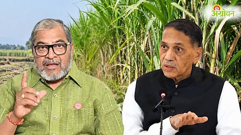 Sugarcane FRP