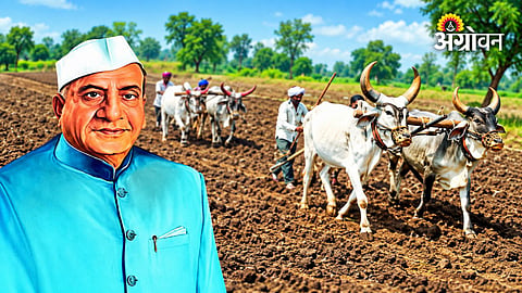 Pending agricultural loan interest payments in Maharashtra