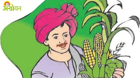 Solapur Agriculture 