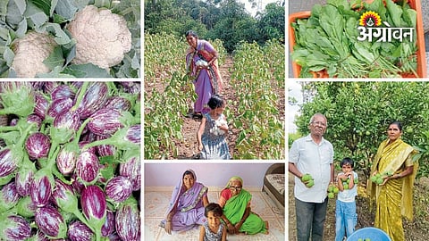 Farmer couple’s hard work and dedication to farming
